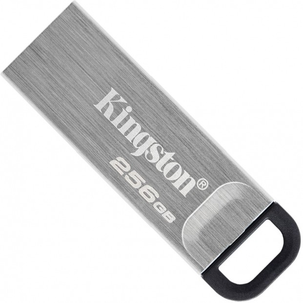 USB Flash карта Kingston DTKN/256GB 256Gb серебристый