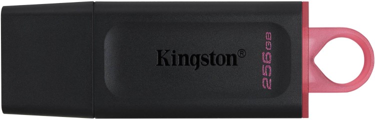 USB Flash карта Kingston DTX/256GB 256Gb черный
