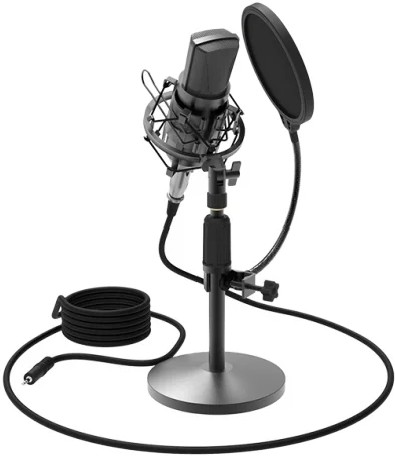 Микрофон Ritmix RDM-175 черный